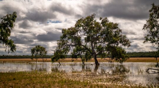 Protected lands added to Queensland Wet Tropics