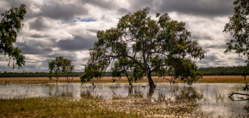 Mabon Thompson Range National Park, Queensland, Australia. | Newsreel