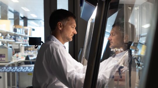 New lab-grown tissue is tiny, but all heart