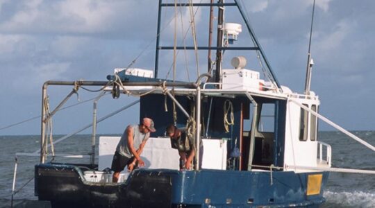 Commercial fishing released from investment warning