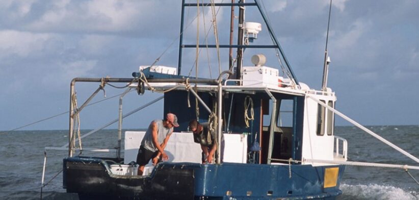 Fishing trawler in Queensland, Australia. | Newsreel