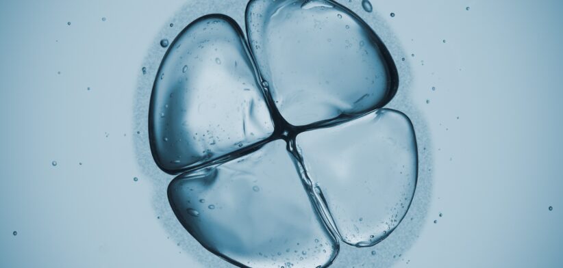 Human cell in early division. | Newsreel