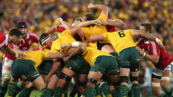 Wallabies British Irish Lions