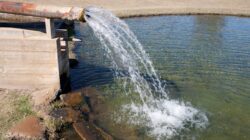 Bore water. | Newsreel