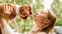 Woman kissing dog. | Newsreel