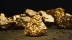 Gold nugget. | Newsreel