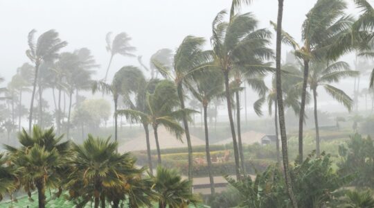 Heavy rain in the tropics. | Newsreel