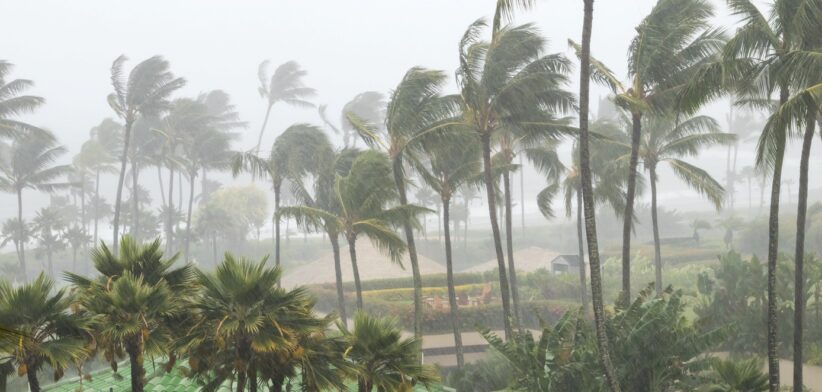 Heavy rain in the tropics. | Newsreel