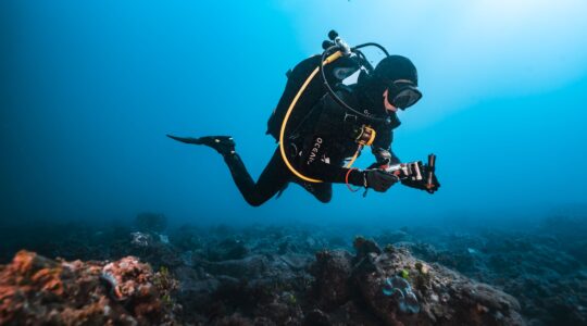 Eureka moment for Sunshine Coast Marine BioBlitz