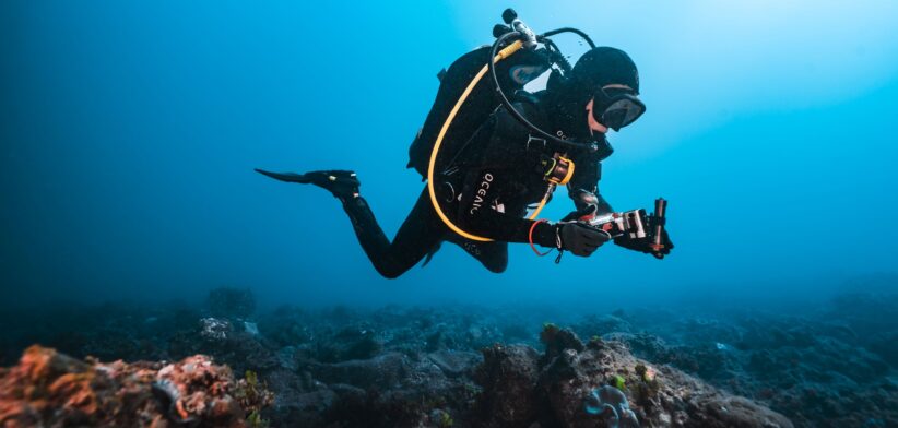 Diver on the Sunshine Coast. | Newsreel