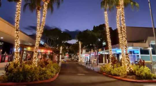 More late-night buses on Sunshine Coast