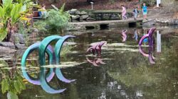 Sculpture at the Mt Coot-tha Botanic Gardens. | Newsreel
