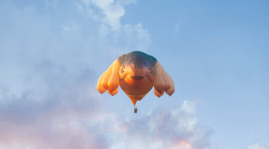Skywhales