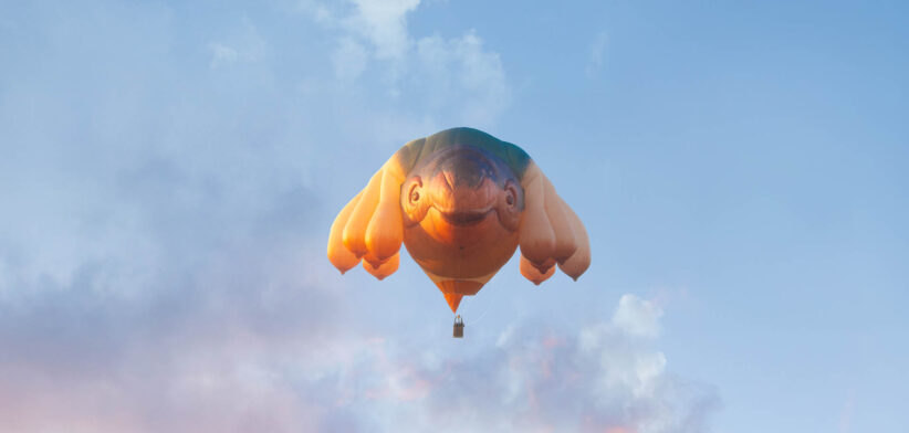 Skywhales