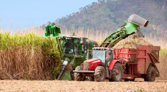 World-class sugar research centre opens in Brisbane