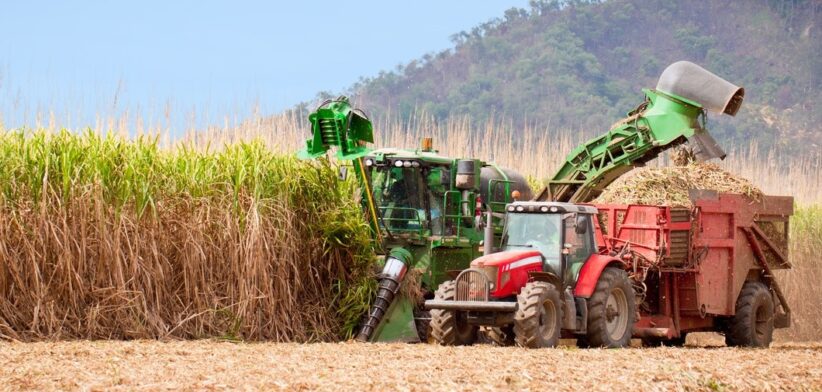 Sugar cane being harvested in north Queensland, Australia. | Newsreel