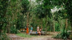 Maroochy Regional Bushland Botanic Garden. | Newsreel