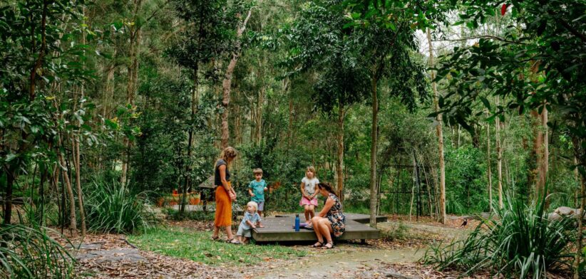 Maroochy Regional Bushland Botanic Garden. | Newsreel