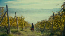 Truffle film