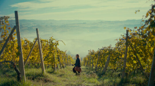 Italian truffle hunt produces cinema gold