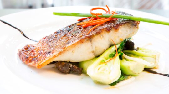 Barramundi fillet. | Newsreel
