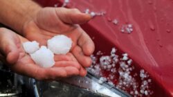 Hailstones. | Newsreel