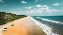 K'gari, Queensland, Australia. | Newsreel