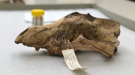 13 million specimens protected for the future
