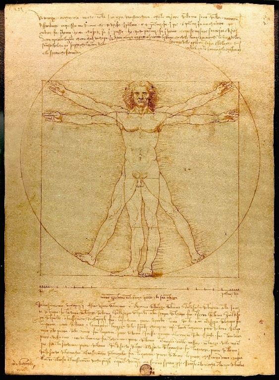 Vitruvian Man