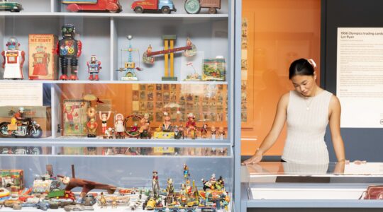 Brisbane’s cabinet of curiosities at MOB