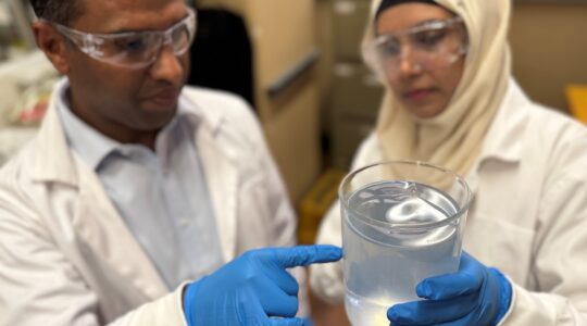 New waste treatment process targets fatbergs