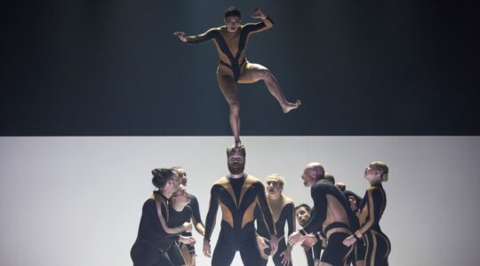 Circa brings primal instincts to the Brisbane stage