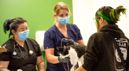 Improving health of the homeless and their pets