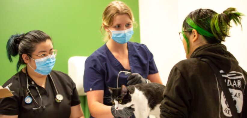 Veterinary students from Washington State University talk to a patient about their cat’s health at the Seattle One Health Clinic. | Newsreel