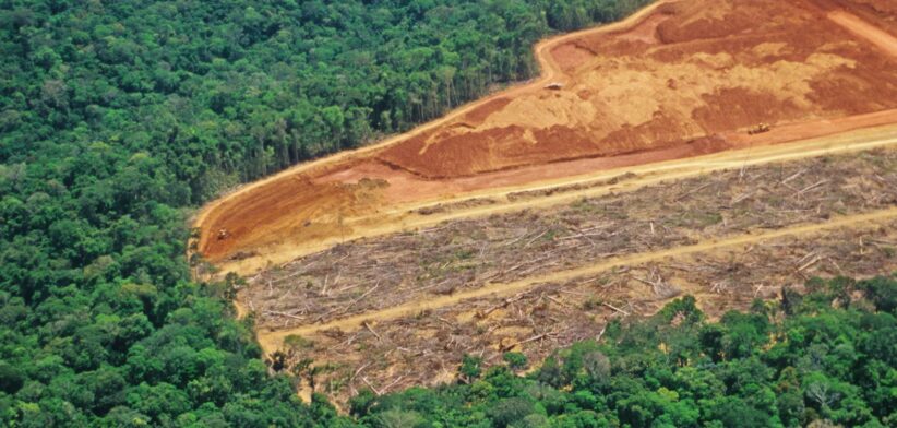 Amazon rainforest deforestation.