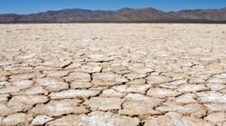 Cracked land. | Newsreel