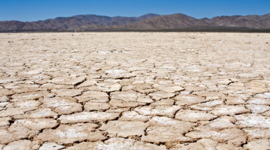 Cracked land. | Newsreel