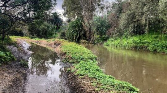 Guide to nature’s way of reducing impact of floods