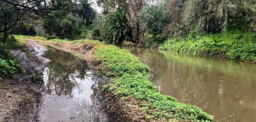 Creek, Australia. | Newsreel