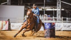 Warwick Rodeo Leanne Caban