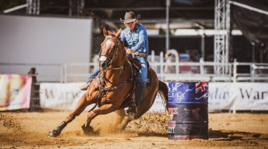 Dust to fly at the Warwick Rodeo