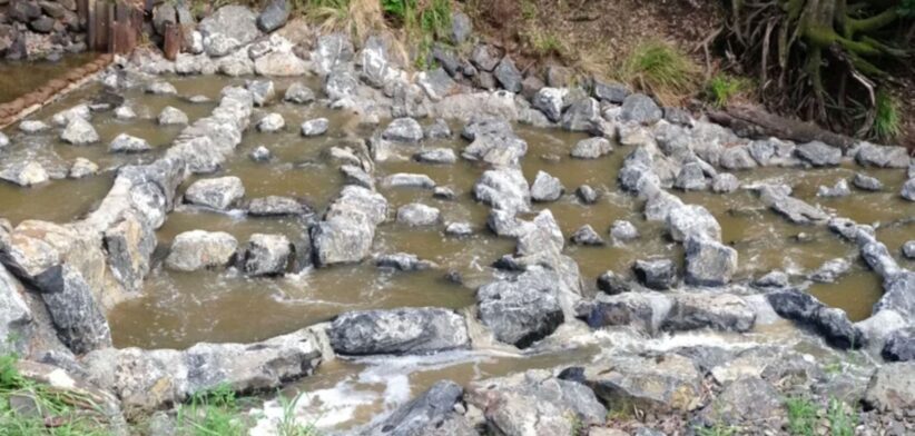 Fishway.| Newsreel