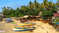 Goa, India. | Newsreel