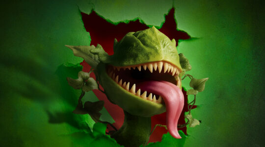 Little Shop of Horrors