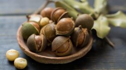 Macadamia nuts. | Newsreel