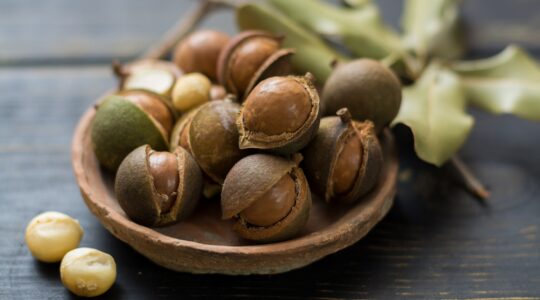 Aussie nut being hardened for future challenges
