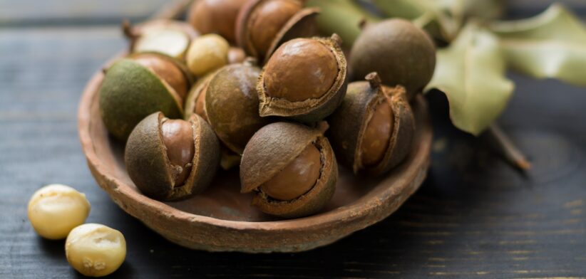 Macadamia nuts. | Newsreel
