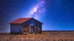 Inge Gajczak's photo Bongeen under the stars
