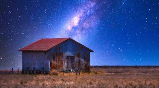 Inge Gajczak's photo Bongeen under the stars