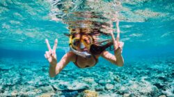 Woman snorkelling in Australia. | Newsreel
